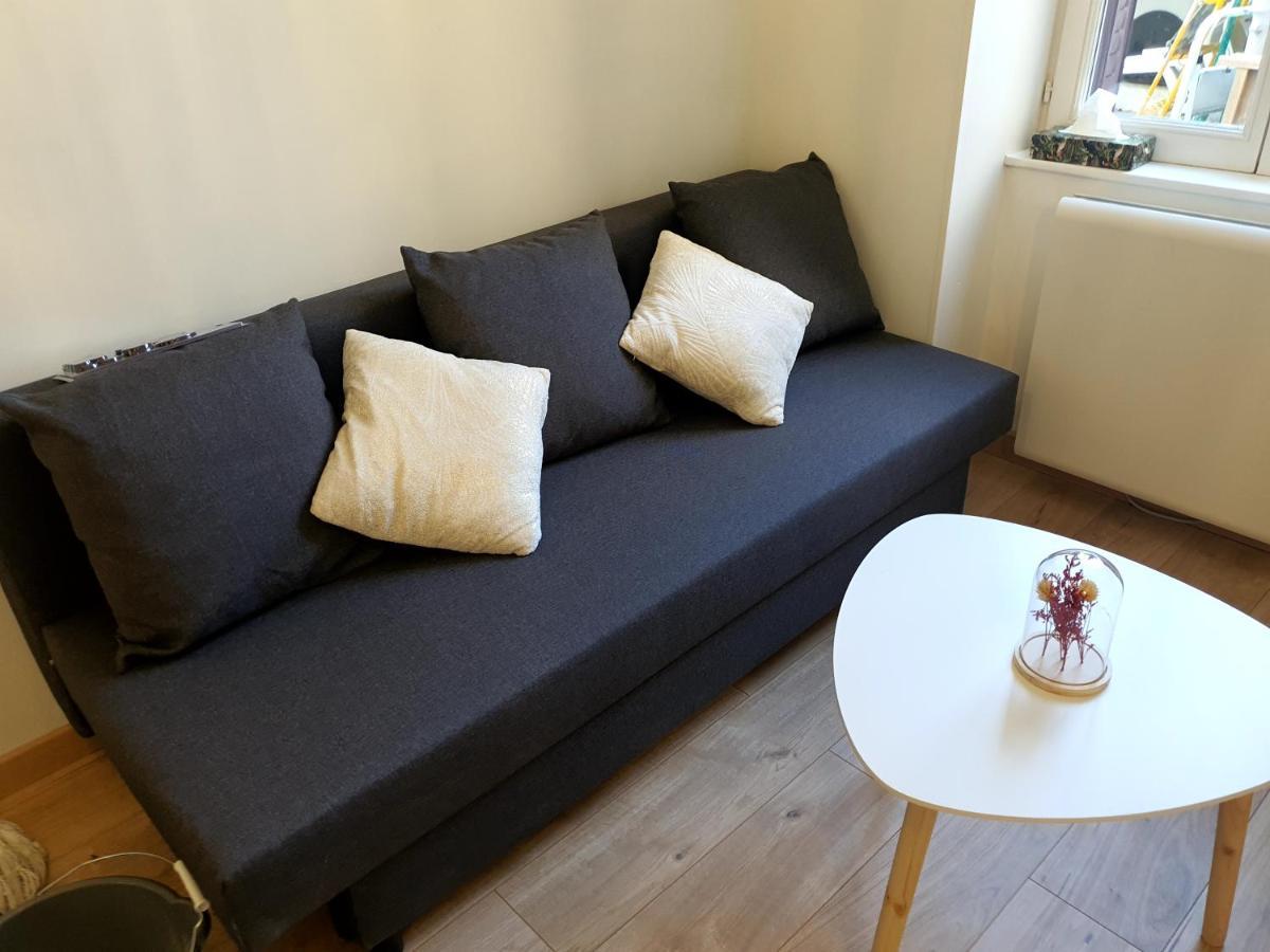 דיז'ון Appartement Cosy Entier, Parking Gratuit Dans La Rue מראה חיצוני תמונה